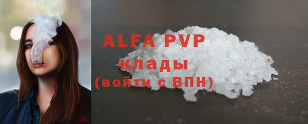 ешки Алексин