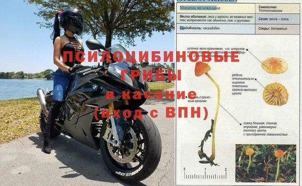мяу мяу мука Алзамай